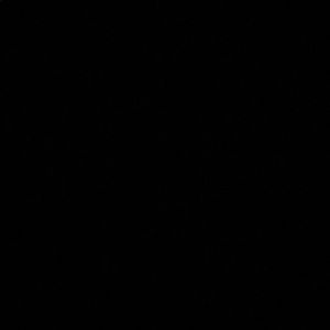 Meet your Posher, Hana